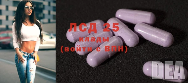 ECSTASY Алзамай