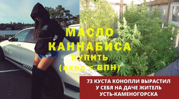 ГАЛЛЮЦИНОГЕННЫЕ ГРИБЫ Алексеевка