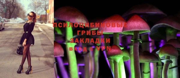 ECSTASY Алзамай
