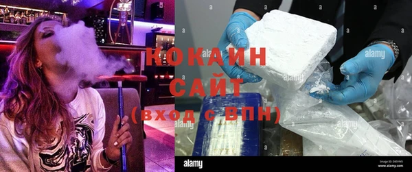 бошки Алексин