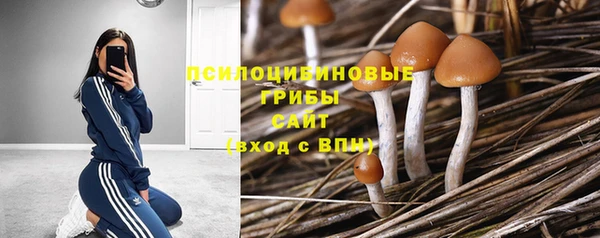 ГАЛЛЮЦИНОГЕННЫЕ ГРИБЫ Алексеевка
