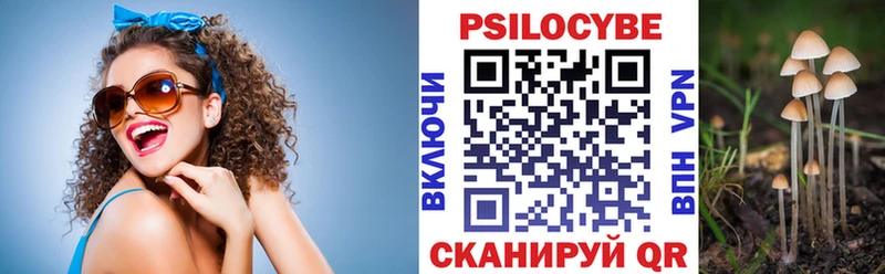 купить наркотики сайты Майкоп Псилоцибиновые грибы мухоморы